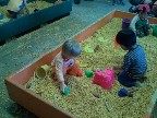 playing in the corn